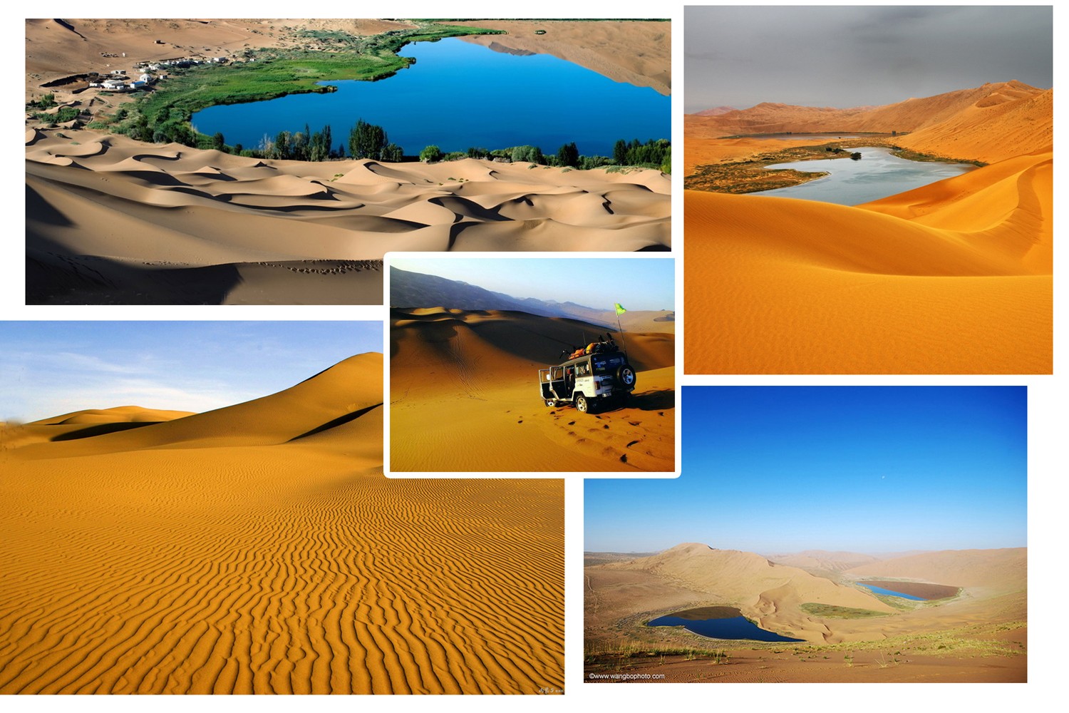 沙漠2.jpg