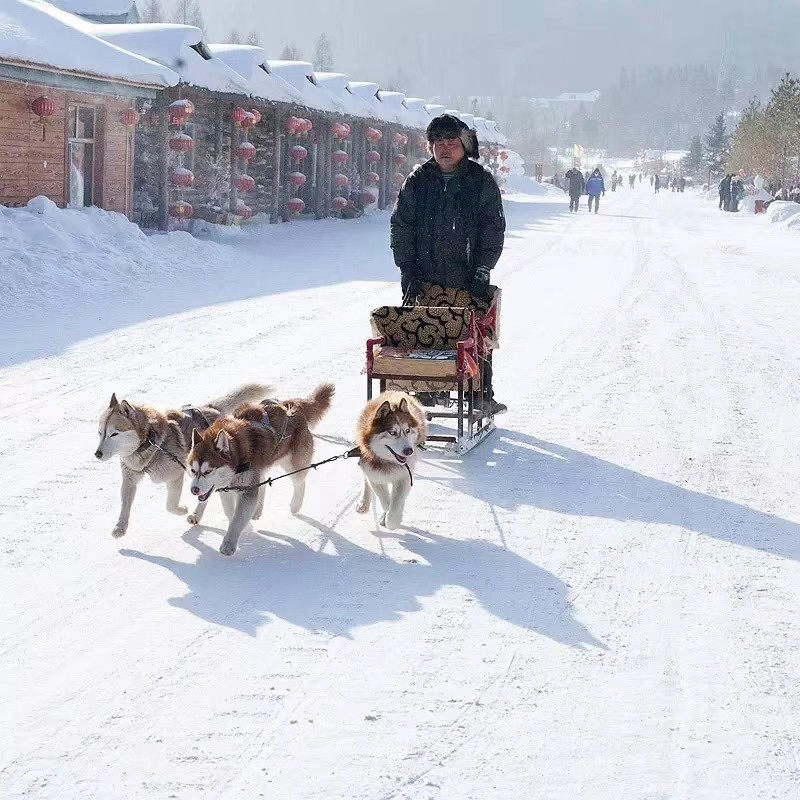【寒假.新疆】避开人群，去一个人少，景美，重点还便宜的“小瑞士”7日游